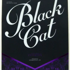 Kotobukiya ARTFX PREMIER Black Cat 1/10 Figure -Kotobukiya shop 021482 1 05503.1633654999