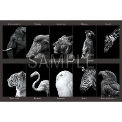 Epoch Jigsaw Puzzle 10-792 Yutaka Hayashi THE ZOOLOGICAL GARDEN (1000 Pieces)