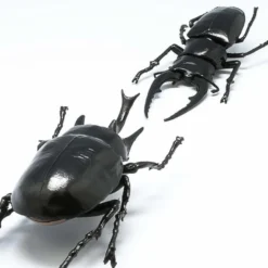F-toys Insect Hunter Rhinoceros Beetle X Stag Beetle 1 BOX 10 Pcs. Set -Kotobukiya shop 4582138603484 3 59822.1537416646
