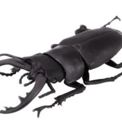 F-toys Insect Hunter (10 Pcs Box) -Kotobukiya shop 4582138604641 3ce0c0ddf07c59b3c6fb0c24441f1429 26439.1627978999