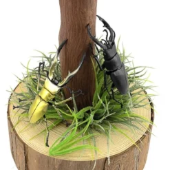 F-toys Insect Hunter (10 Pcs Box) -Kotobukiya shop 4582138604641 b920a0cd107d45b207291e761e8b159f 52697.1627979001