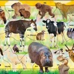 Apollo-sha 24-182 Jigsaw Puzzle Various Animals Panorama Puzzle (10+15+20 Pieces)