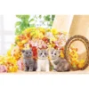 Epoch Jigsaw Puzzle 10-747 Cute Flower & Cats (1000 Pieces) -Kotobukiya shop 4977389107476 1 27589.1561727061