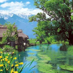 Epoch Jigsaw Puzzle 10-782 Japanese Scenery Watermill Nagano (1000 Pieces)