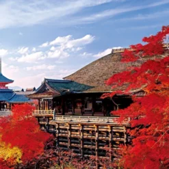 Epoch Jigsaw Puzzle 10-786 Japanese Landscape Colored Leaves Kiyomizu Temple In Kyoto (1000 Pieces)