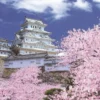Epoch Jigsaw Puzzle 10-796 Himeji Castle Sakura Cherry Blossoms (1000 Pieces) 2 Epoch Jigsaw Puzzle 10-796 Himeji Castle Sakura Cherry Blossoms (1000 Pieces) -Kotobukiya shop 4977389107964 1 91358.1516686871