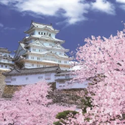 Epoch Jigsaw Puzzle 10-796 Himeji Castle Sakura Cherry Blossoms (1000 Pieces)