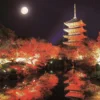 Epoch Jigsaw Puzzle 10-802 Autumn Toji Five-Storied Pagoda Kyoto Japan (1000 Pieces) 2 Epoch Jigsaw Puzzle 10-802 Autumn Toji Five-Storied Pagoda Kyoto Japan (1000 Pieces) -Kotobukiya shop 4977389108022 1 88023.1537406750