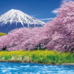 Epoch Jigsaw Puzzle 10-804 Urui River Ryugambuchi, Mount Fuji, Shizuoka, Japan (1000 Pieces)