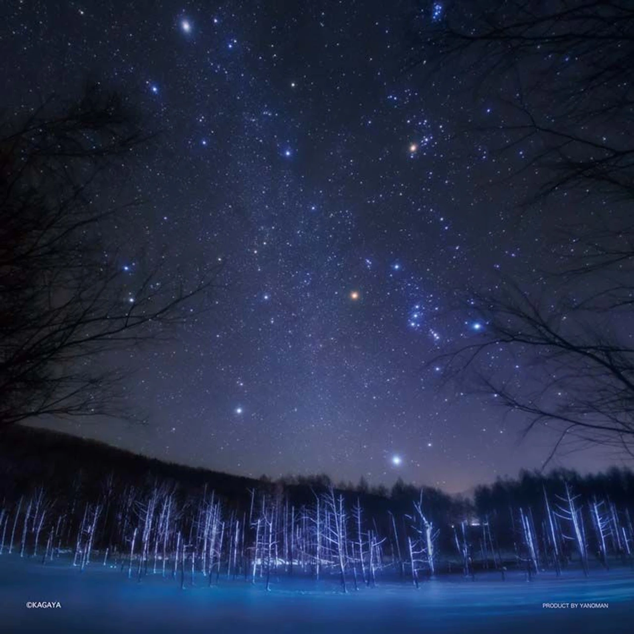Yanoman 36-10 Jigsaw Puzzle Stargazing In Hokkaido (Square Puzzle) (306 Pieces) 3 Yanoman 36-10 Jigsaw Puzzle Stargazing In Hokkaido (Square Puzzle) (306 Pieces)