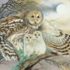 Yanoman Jigsaw Puzzle 10-1312 Kaname Ozuma Owl Family (1000 Pieces) -Kotobukiya shop 4979817133125 1 17094.1521528660