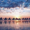 Yanoman Jigsaw Puzzle 10-1329 Twilight Of Broome Australia (1000 Pieces) 1 Yanoman Jigsaw Puzzle 10-1329 Twilight Of Broome Australia (1000 Pieces) -Kotobukiya shop 4979817133293 c54e01a415fc53bc0ecbfed12faa00a0 08407.1539246045