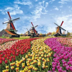 Yanoman Jigsaw Puzzle 10-1342 Tulip & Windmill (Netherlands) (1000 Pieces)