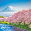 Yanoman 10-1387 Jigsaw Puzzle Mt.Fuji During Cherry Blossom Season (1000 Pieces) -Kotobukiya shop 4979817133873 19ab983b6d4da98091dd97de12b68834 03702.1611121517