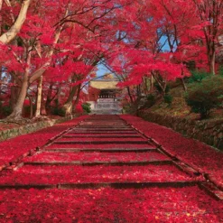 Yanoman 10-1400 Jigsaw Puzzle Maple Approach In Kyoto Japan During Autumn (1000 Pieces)