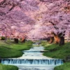 Yanoman 10-1410 Jigsaw Puzzle Kannonji River Cherry Blossoms In Fukushima Japan (1000 Pieces) -Kotobukiya shop 4979817134108 9e85ee0276a777a0572bc7a27fcb6318 09457.1643082157