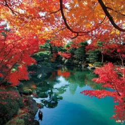 Yanoman 10-1431 Jigsaw Puzzle Autumn In Yushien Shimane Japan (1000 Pieces)