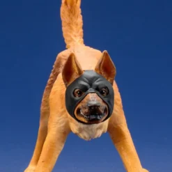 Kotobukiya SV222 ARTFX+ DC Comics Rebirth Super Sons Robin & Bat-Hound 1/10 Scale Set Of 2 Figure -Kotobukiya shop SV222 artfxp robin bathound 07 comp 78558.1504239852